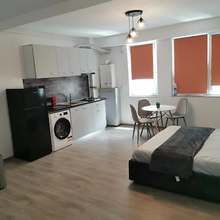 アパート Av Studio Mamaia Nord ナボダリ